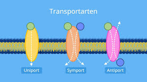 transportarten