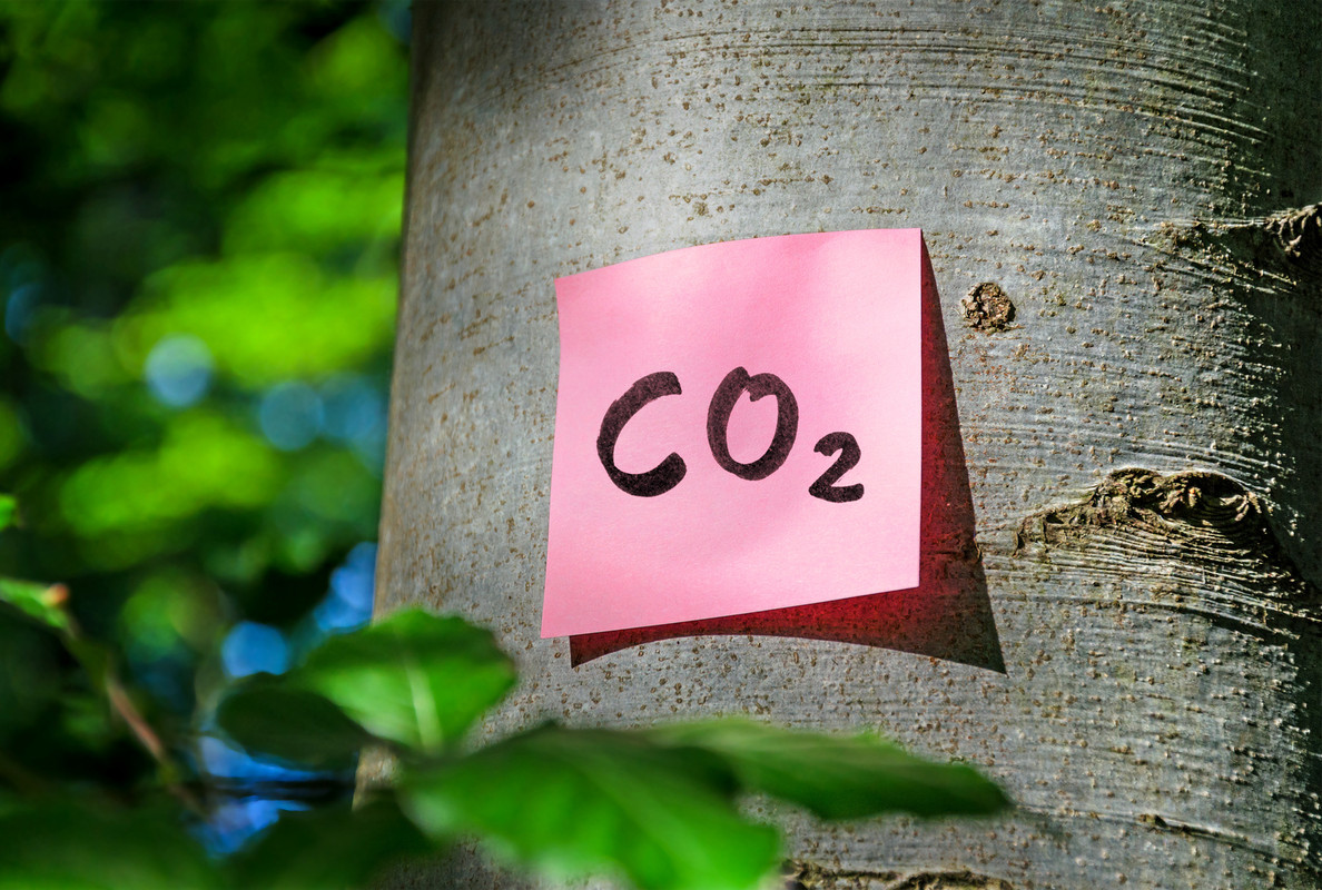 co2-neutralen lieferdienst