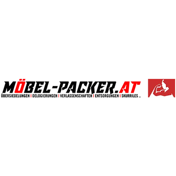 möbelpacker-team