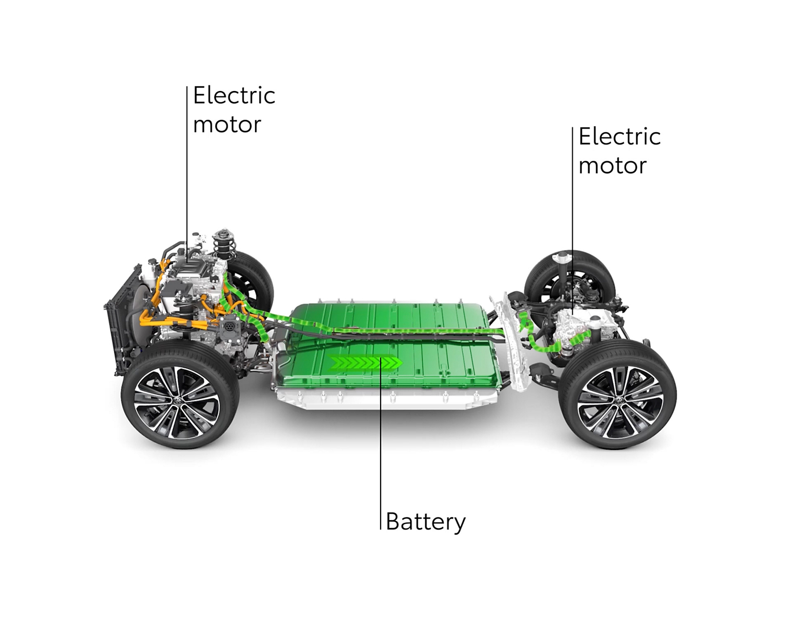grüne flottenmanagement dienste
