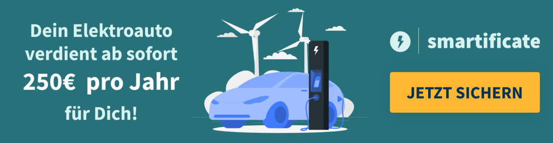 quotenhandel elektromobilität