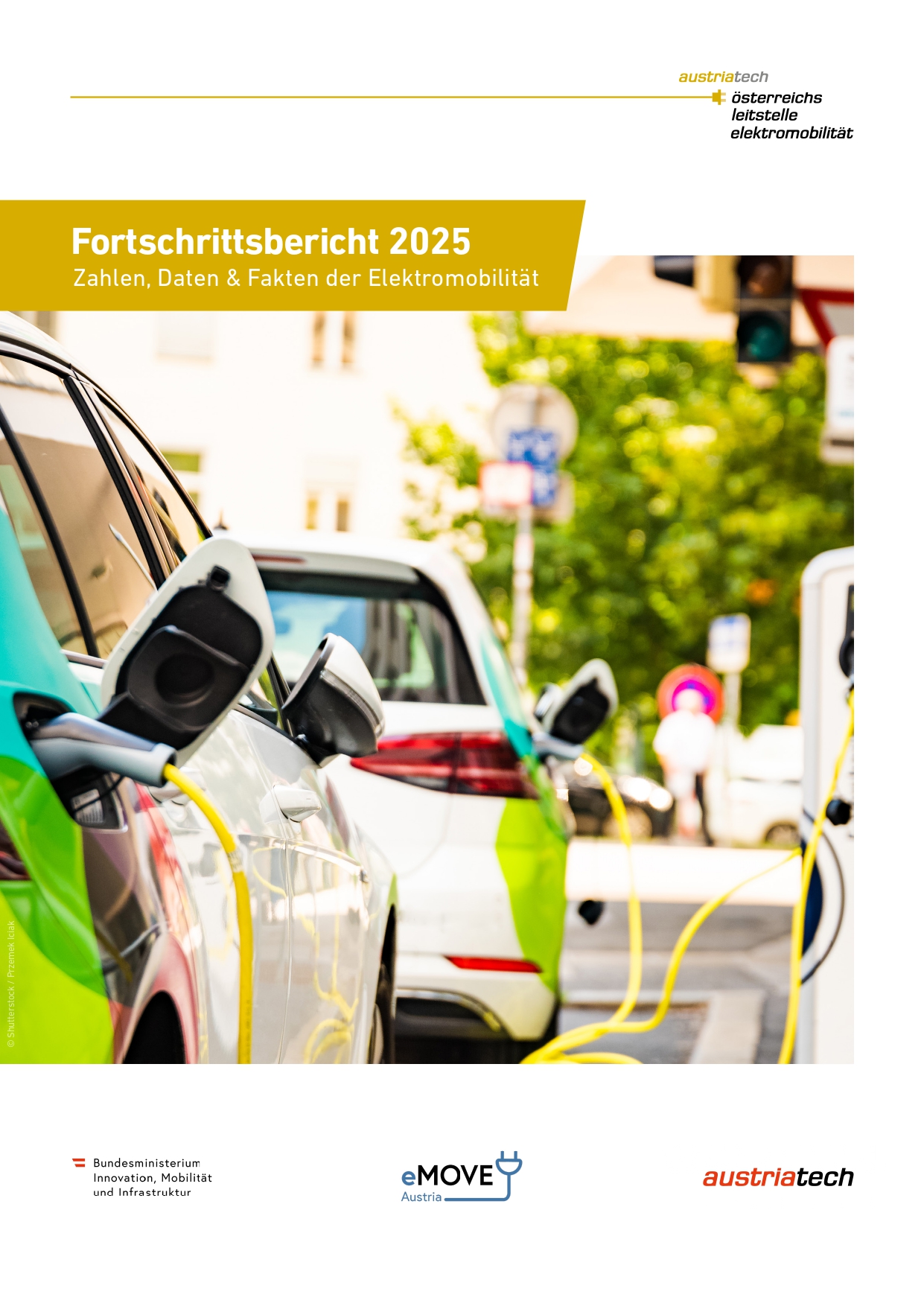 umsetzungsberatung elektromobilität